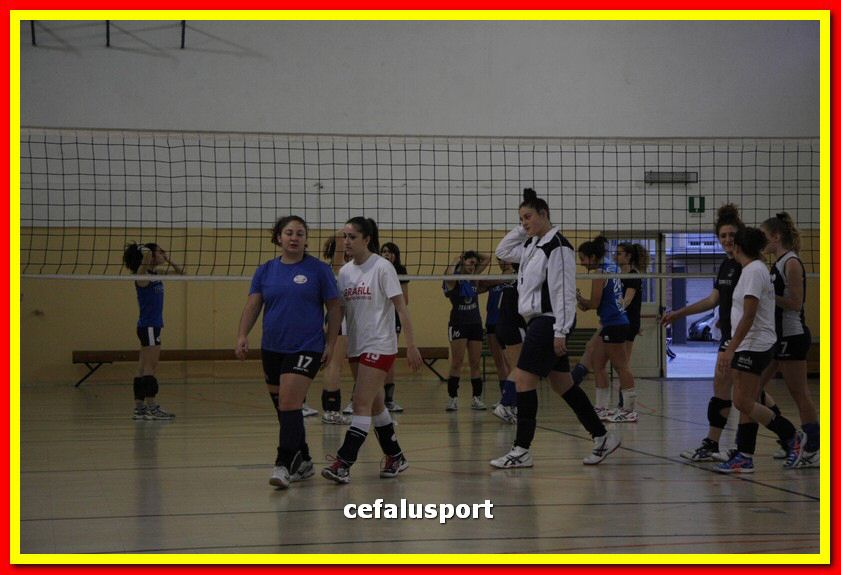 150508_Primula 007_tn.jpg